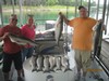 (08/08/2014) - Nice Striped Bass